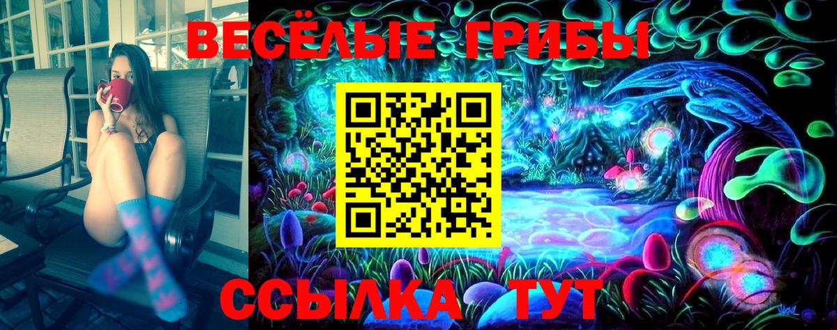 Алатырь  Галлюциногенные грибы Magic Shrooms  Вход с VPN  Галлюциногенные грибы MAGIC MUSHROOMS 