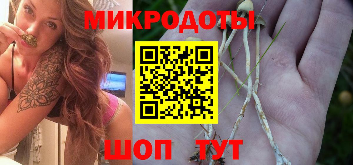 Галлюциногенные грибы мицелий Алатырь
