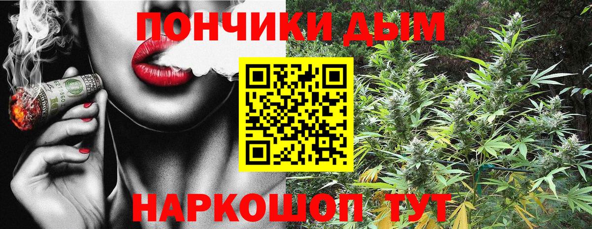 Бошки марихуана сатива  Марихуана индика  Алатырь  Вход с VPN  Каннабис Ganja  Каннабис сатива 